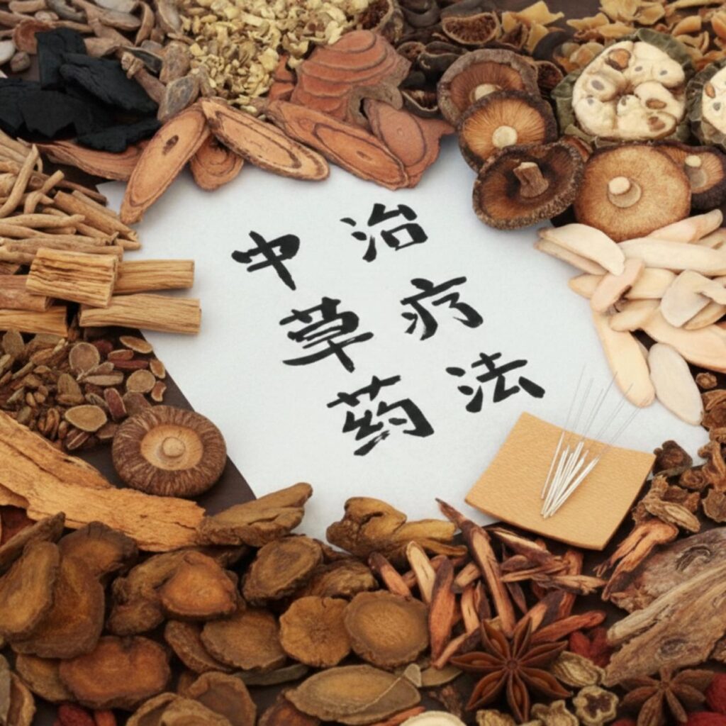 whatsapp image 2026 02 08 at 14.38.56 (2)