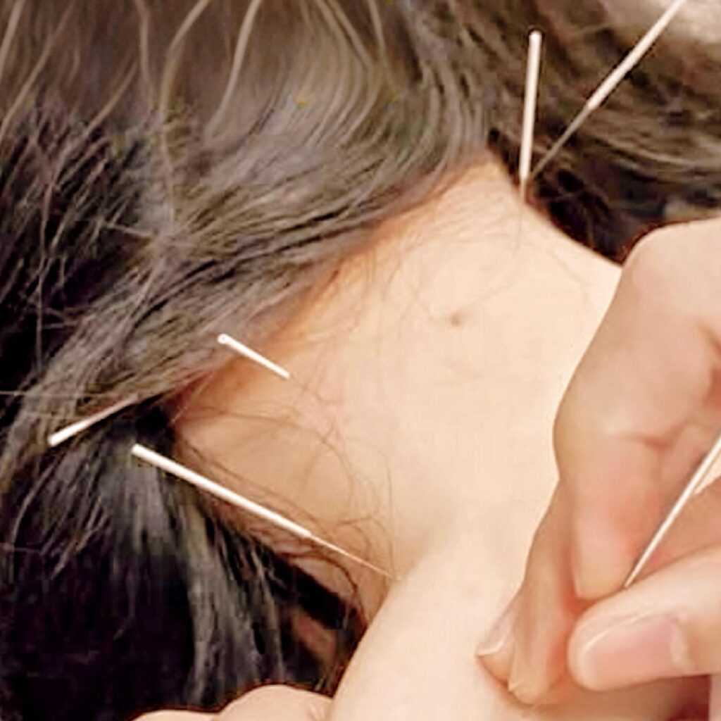 whatsapp image 2026 02 08 at 14.38.57